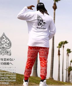 ACEFLAG ACE FLAG 上下セット 長袖 ブランド Tシャツ ロンT ロングパンツ 大きいサイズ エースフラッグ セットアップ ジャージ Praying Hands 祈り手 b系