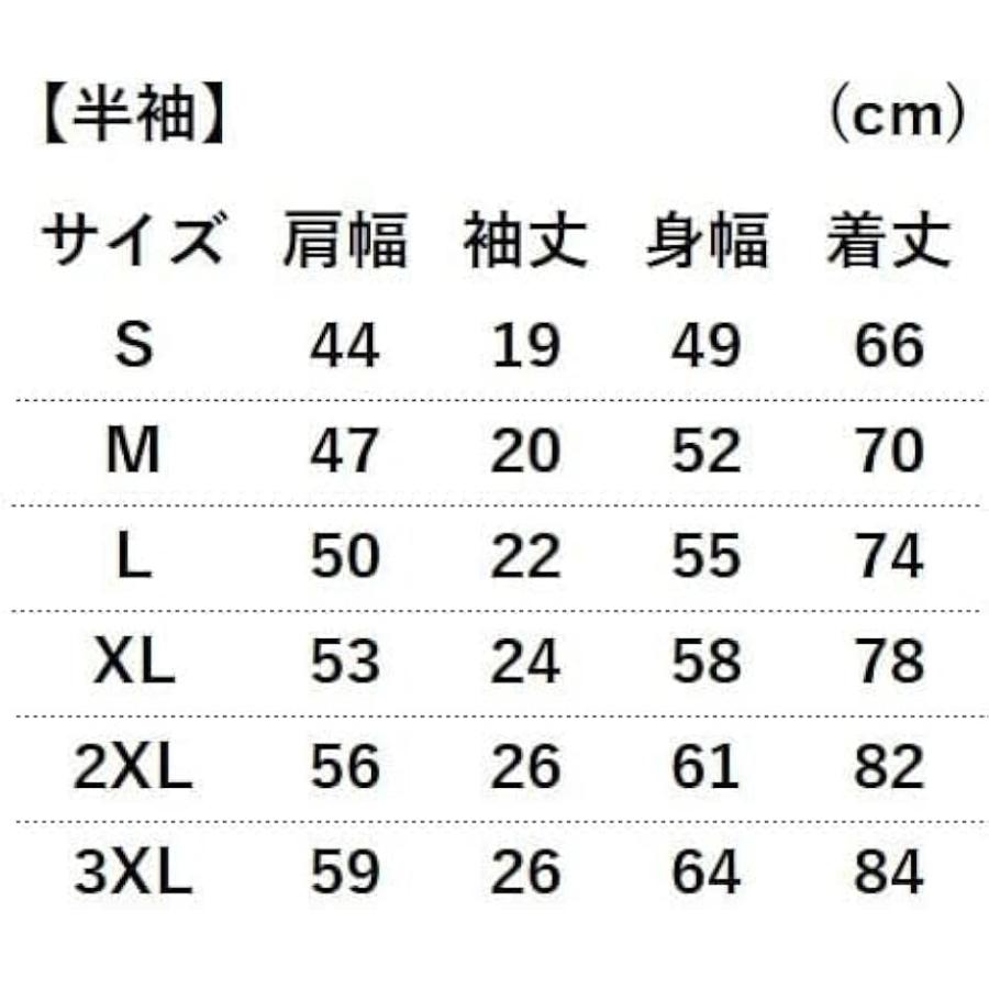本当は、よくわかってません tシャツ Sサイズ おもしろtシャツ(ブラック, S) - 画像 (2)