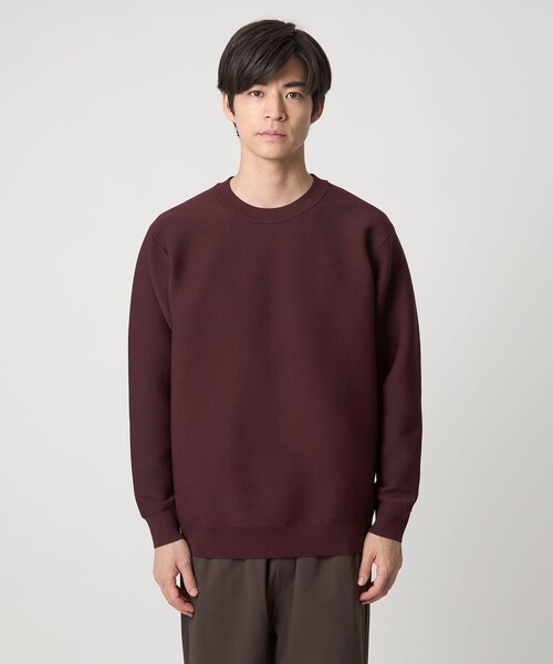 green label relaxing セーター ニット 「WEB限定」ガータークルー メンズ - 画像 (8)