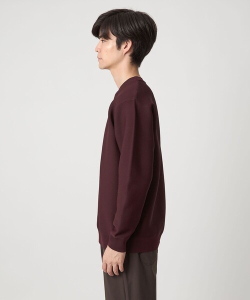 green label relaxing セーター ニット 「WEB限定」ガータークルー メンズ - 画像 (9)