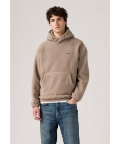 Levi's リーバイス パーカー・スウェットシャツ メンズ アウター COZY UP - Hoodie fungi