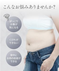 ニッセン 補正下着 M-6L 大きいサイズ 毎日はきたい 楽ちん 骨盤 ウエストニッパー (日本製レース)( トリンプ ) 女性 下着 レディース くびれ