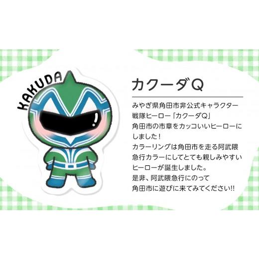 ふるさと納税 カバン トートバッグ 宮城県 角田市 キャンバストートバックBL オリジナルイラスト 36cm×37cm マチ11cm 持ち手50cm 綿100% - 画像 (3)