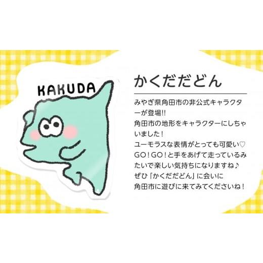 ふるさと納税 カバン トートバッグ 宮城県 角田市 キャンバストートバックBL オリジナルイラスト 36cm×37cm マチ11cm 持ち手50cm 綿100% - 画像 (4)