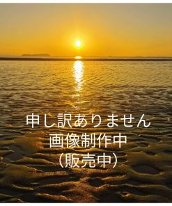 ドキュメント レインコート 東レエントラント使用 防水 透湿 軽量レインコート ピンク LL