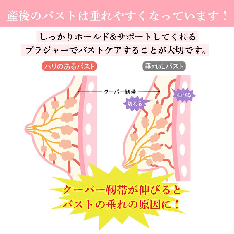 ナイトブラ マタニティブラ 授乳ブラ 2枚セット マタニティ ノンワイヤー 前開き ブラジャー カップ入り コットン 垂れ防止 産後 産後インナー - 画像 (2)