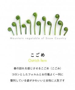 ふるさと納税 十日町市 着る山菜!【こごめトートバッグ・ナチュラル】Mサイズ