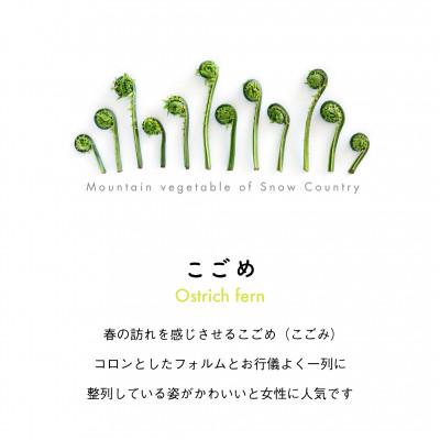 ふるさと納税 十日町市 着る山菜!【こごめトートバッグ・ナチュラル】Mサイズ