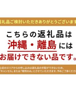 ふるさと納税 加西市 gravevault Plain short Black Lサイズ[No5698-8108]